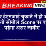 Cibil Score Financial Freedom: अगर ईएमआई चुकाने में हो जाए देरी तो सिबिल स्कोर पर क्या पड़ेगा असर जानिए